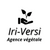 Iriversi