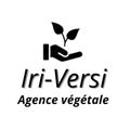 Iriversi