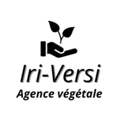 Iriversi