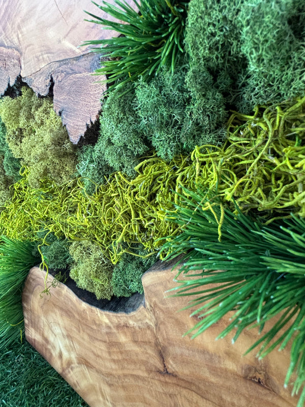 Tableau végétal BOIS & VERDURE