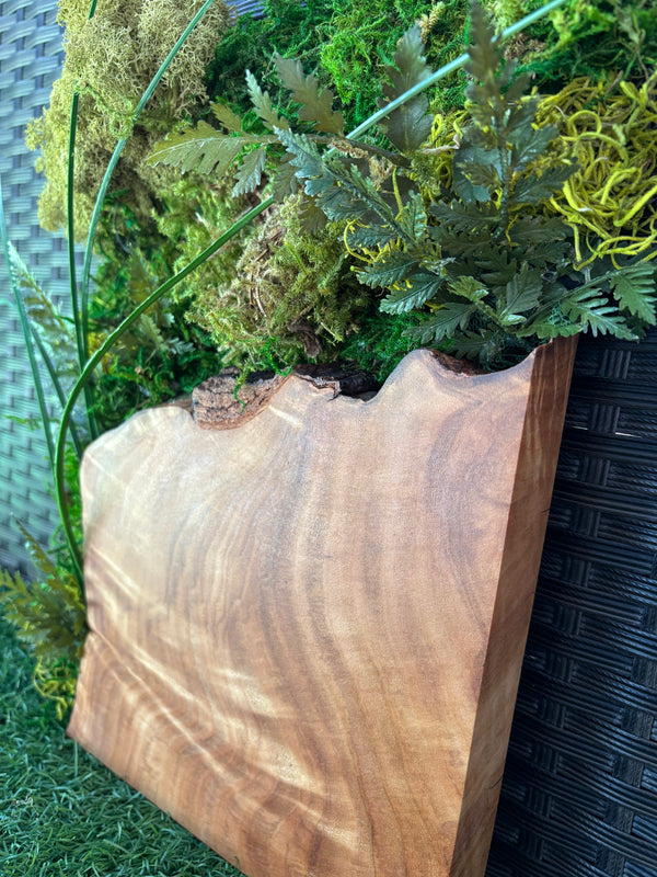 Tableau végétal BOIS & VERDURE